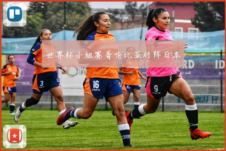 世界杯小组赛哥伦比亚对阵日本