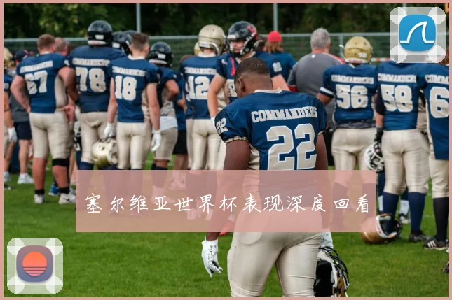 塞尔维亚世界杯表现深度回看