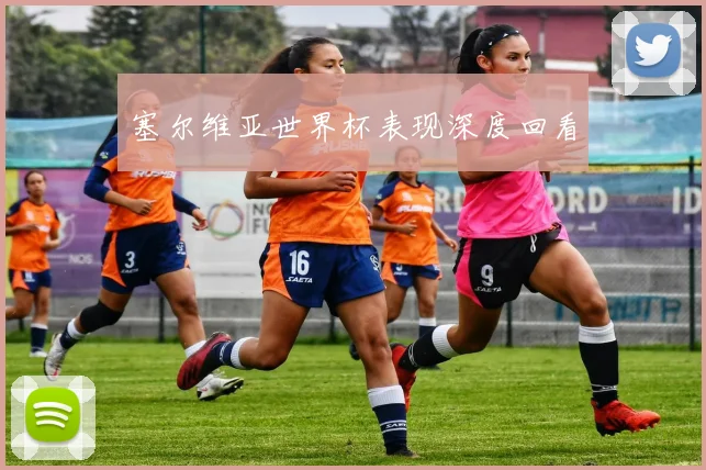 塞尔维亚世界杯表现深度回看
